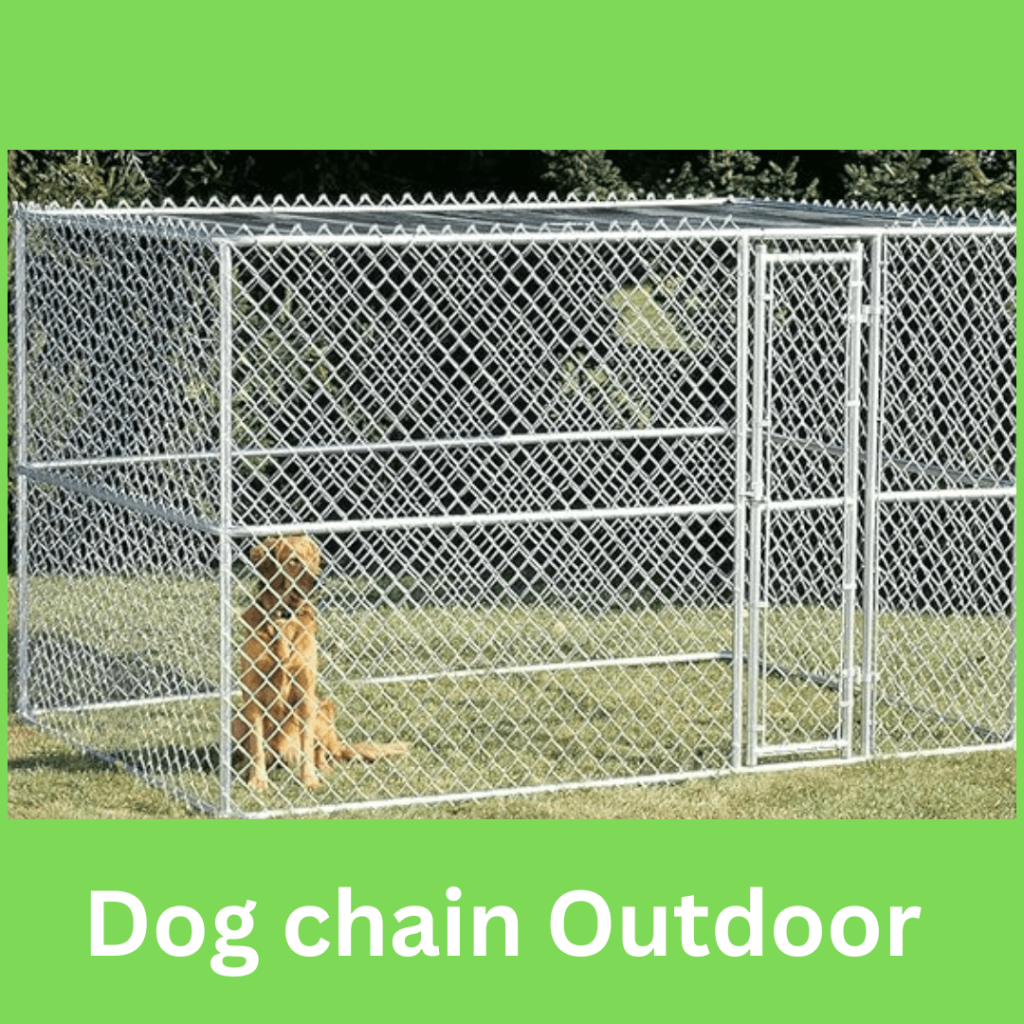 dog chain Outdoor