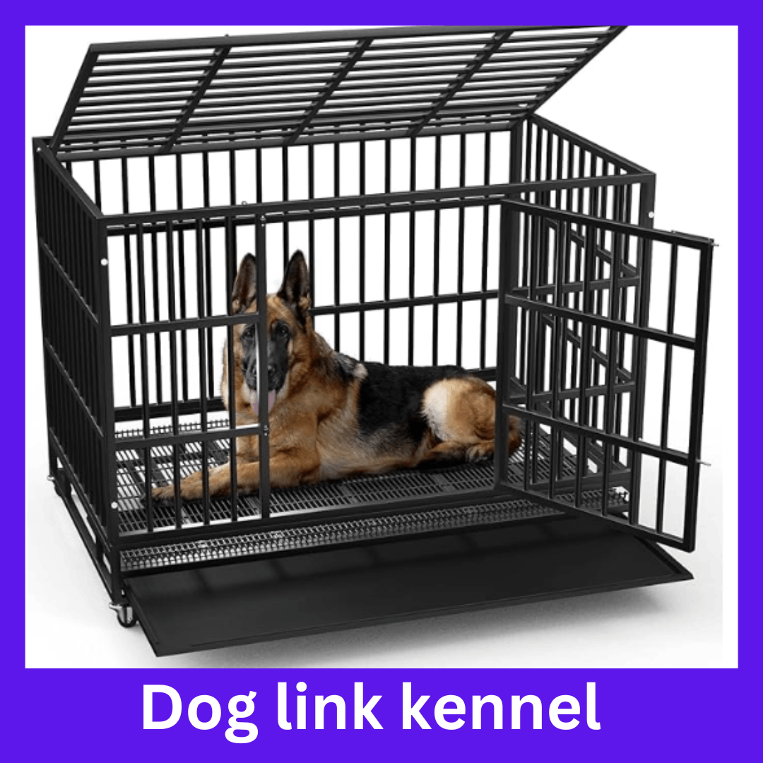 dog chain link kennel