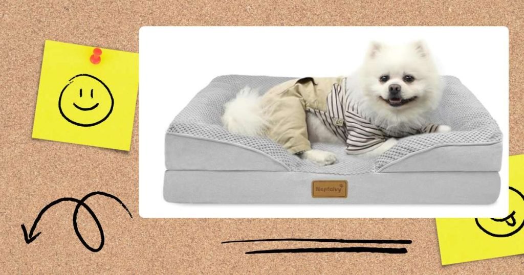 Best canvas dog bed