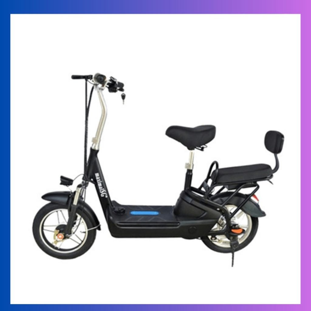 Electric Scooter Two Seater 1