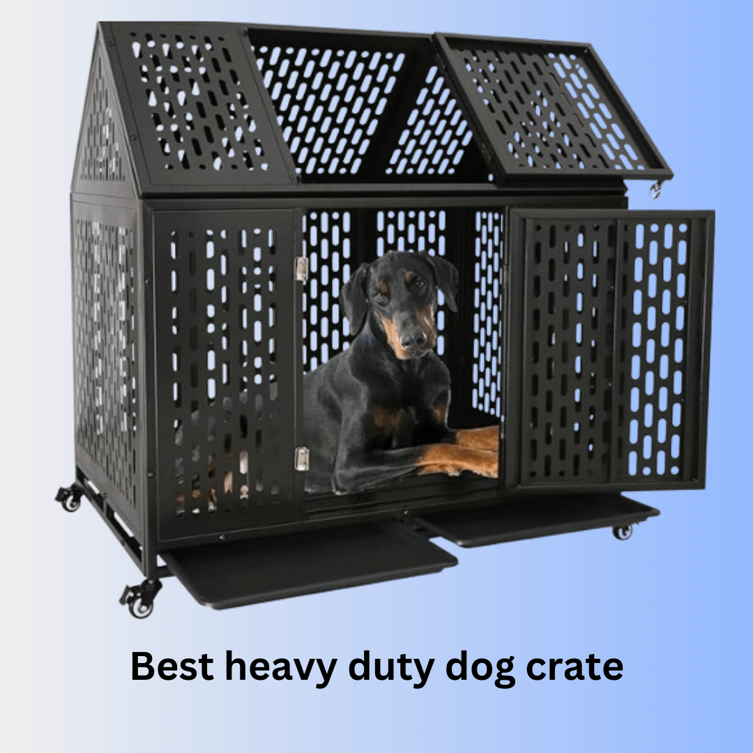 Heavy Duty Dog Crate with Divider