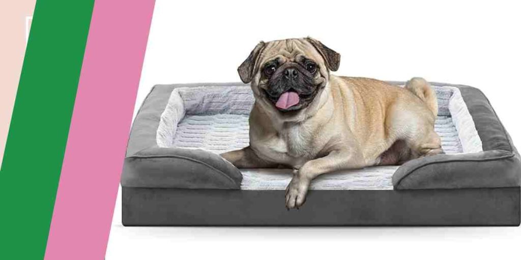 Waterproof Dog Sofa Bed Medium Size Dog