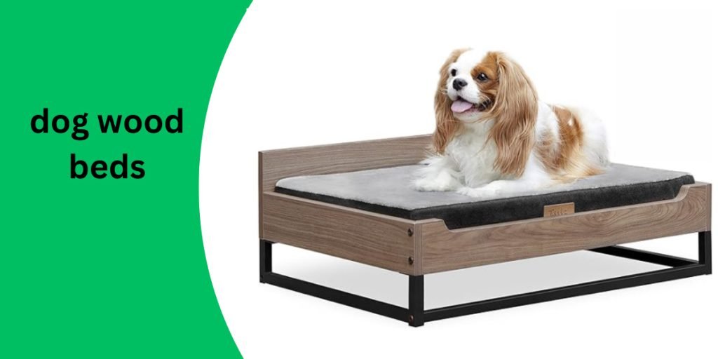 Wooden Dog Bed and Dog Couch with Water