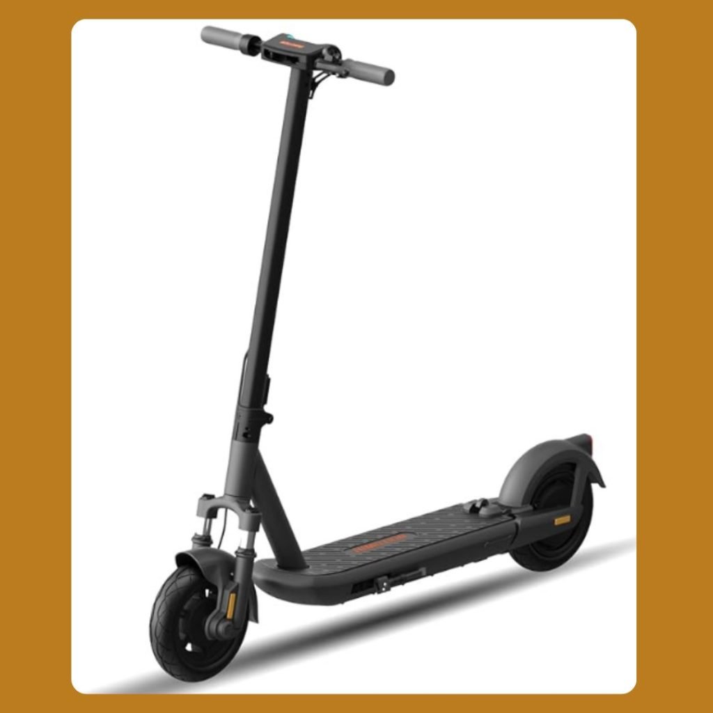 best electric scooter for adults 300 lbs