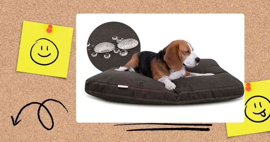 canvas dog bed