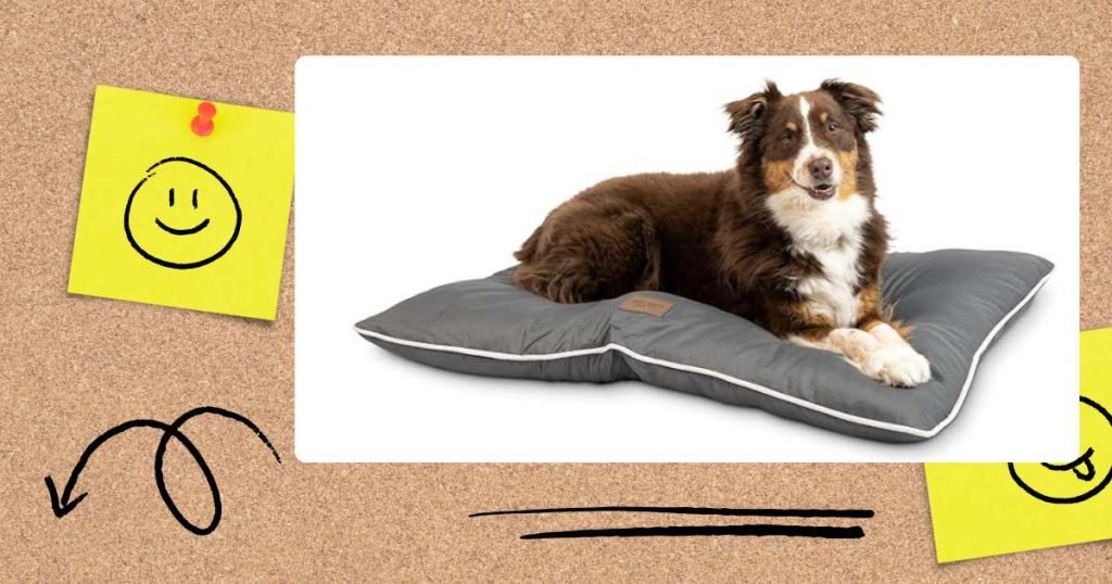 canvas dog bed review