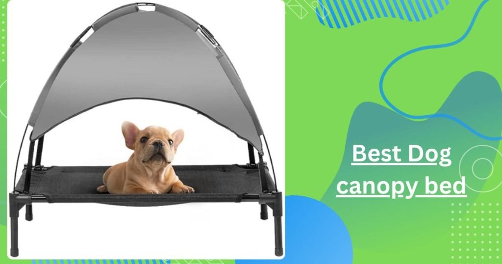 Best Dog canopy bed