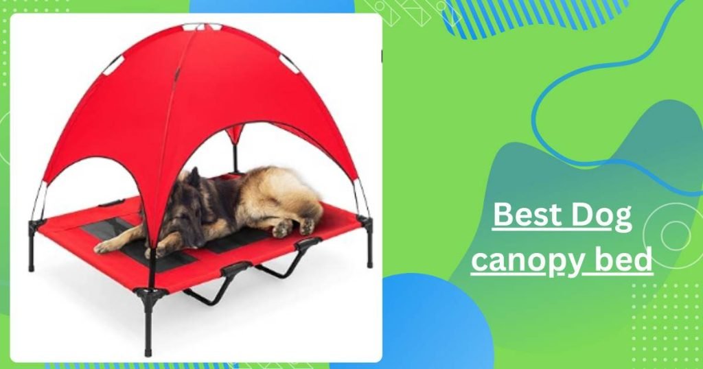 Best Dog canopy bed