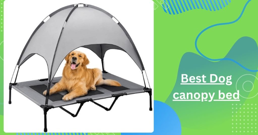 Best Dog canopy bed