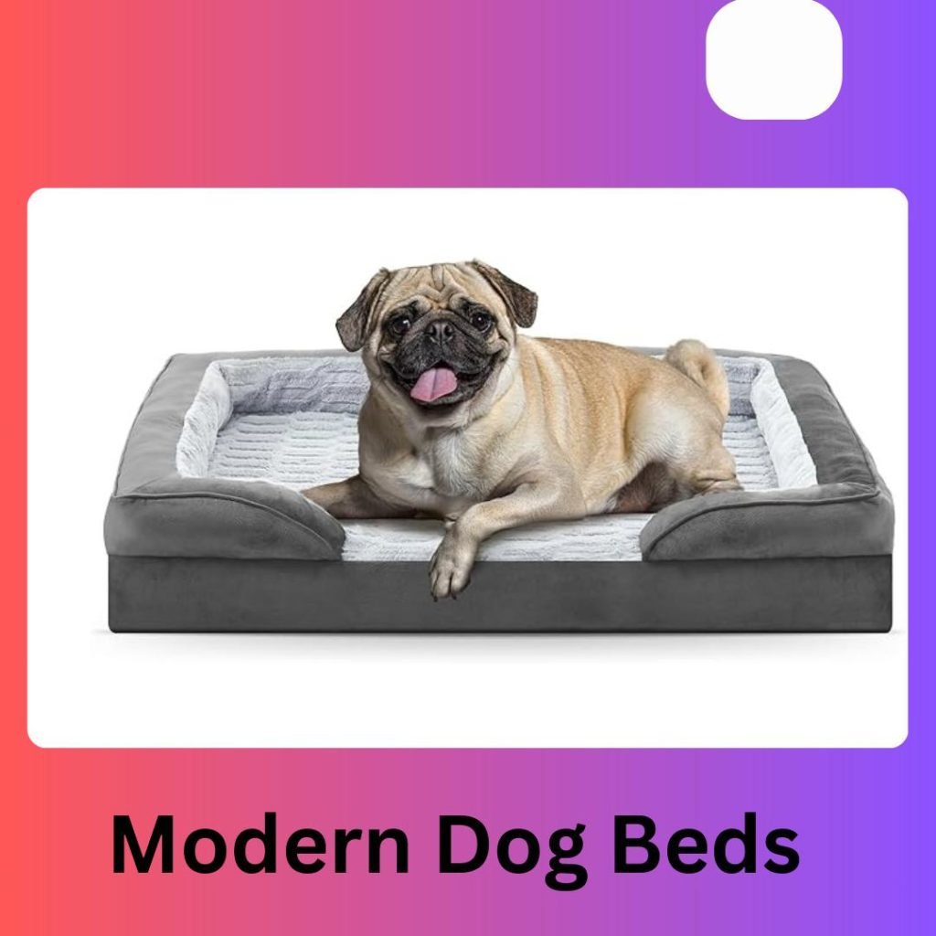 Modern Dog Beds