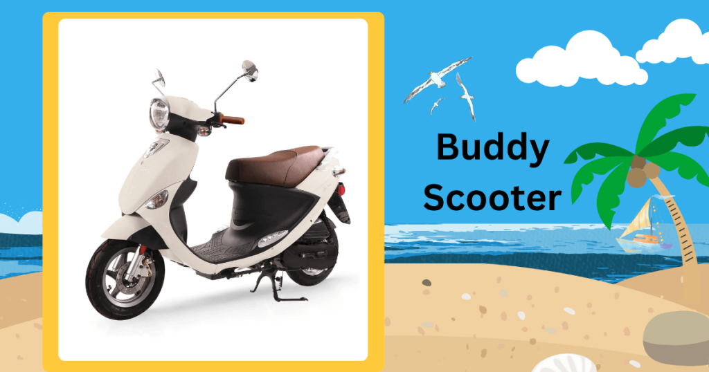 Buddy Scooter