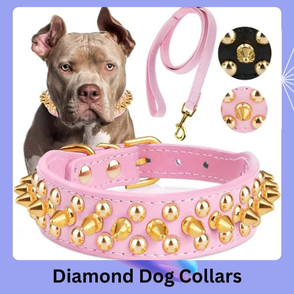 Diamond Dog Collars review