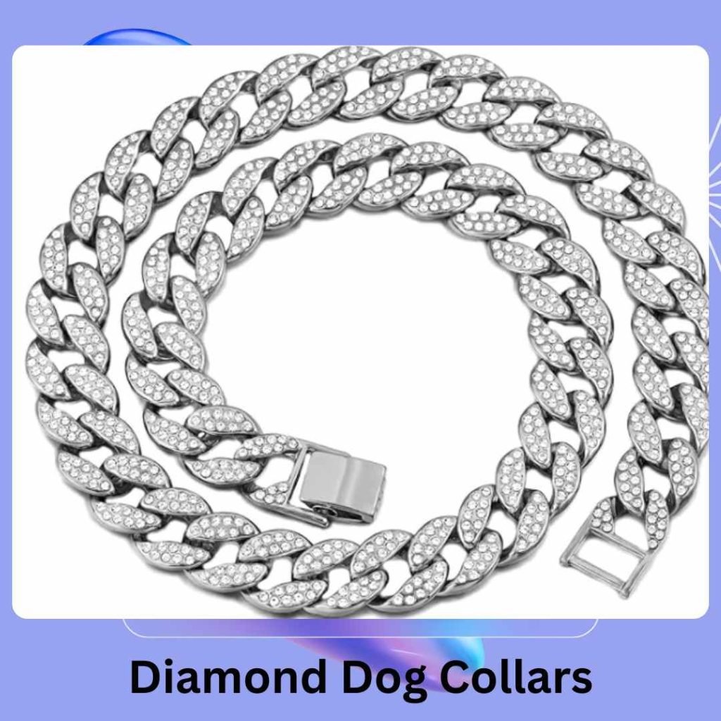 Diamond Dog Collars review