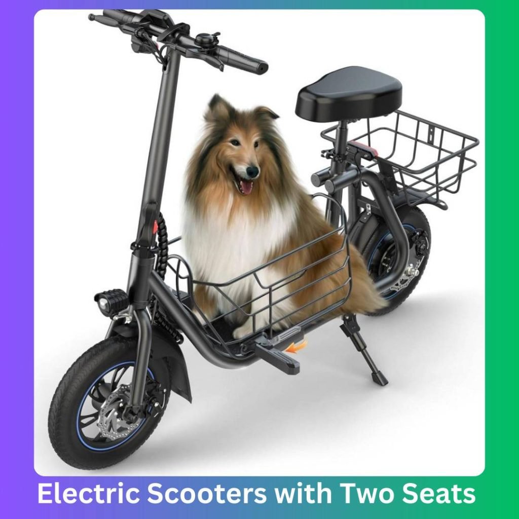 Electric Scooters with Two Seats