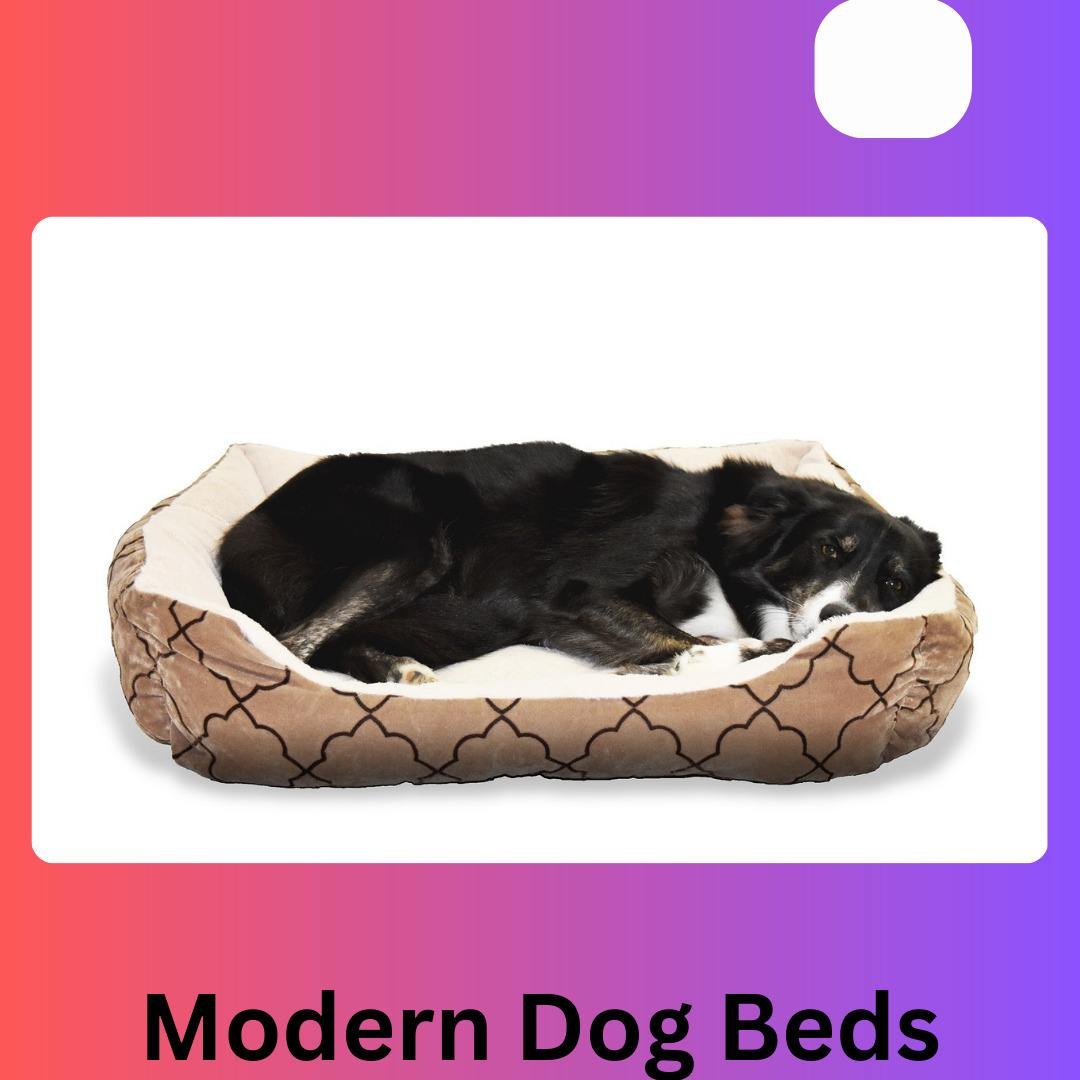 Modern Dog Beds