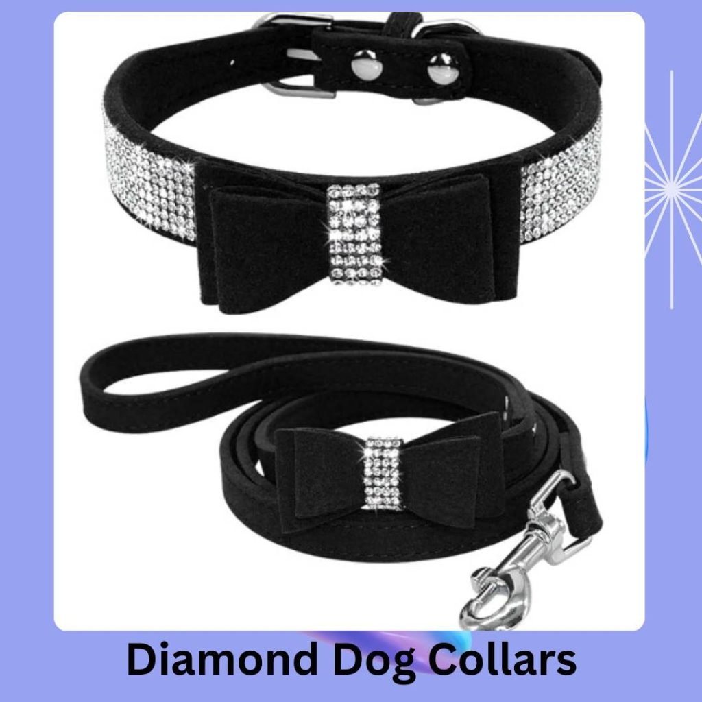 Diamond Dog Collars review