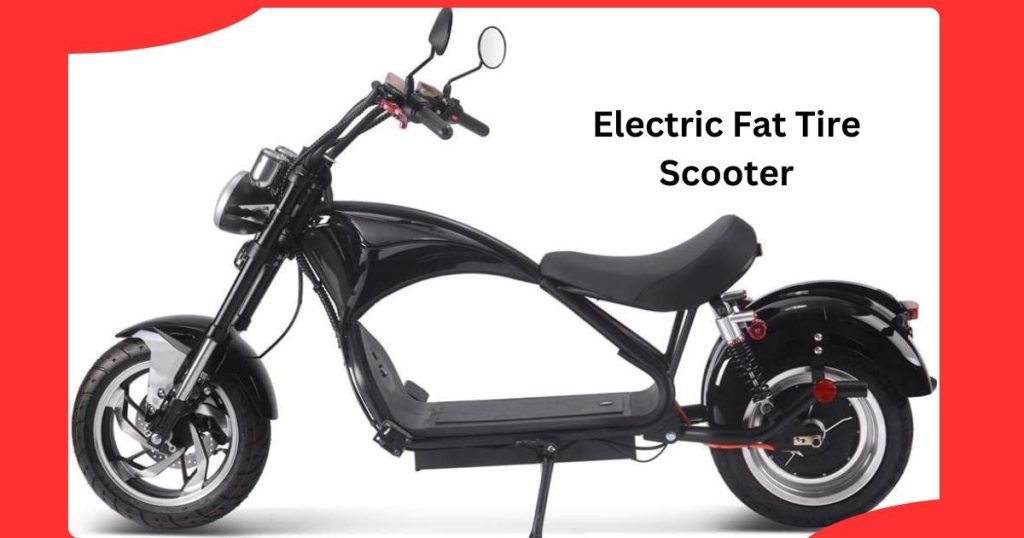 Electric Fat Tire Scooter