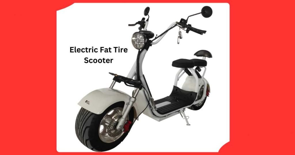 Electric Fat Tire Scooter