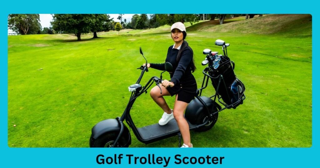 Golf Trolley Scooter